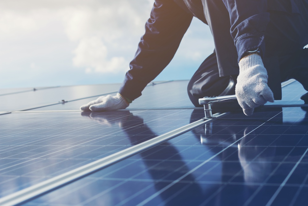 The Importance of Bird-Proofing Solar Panels