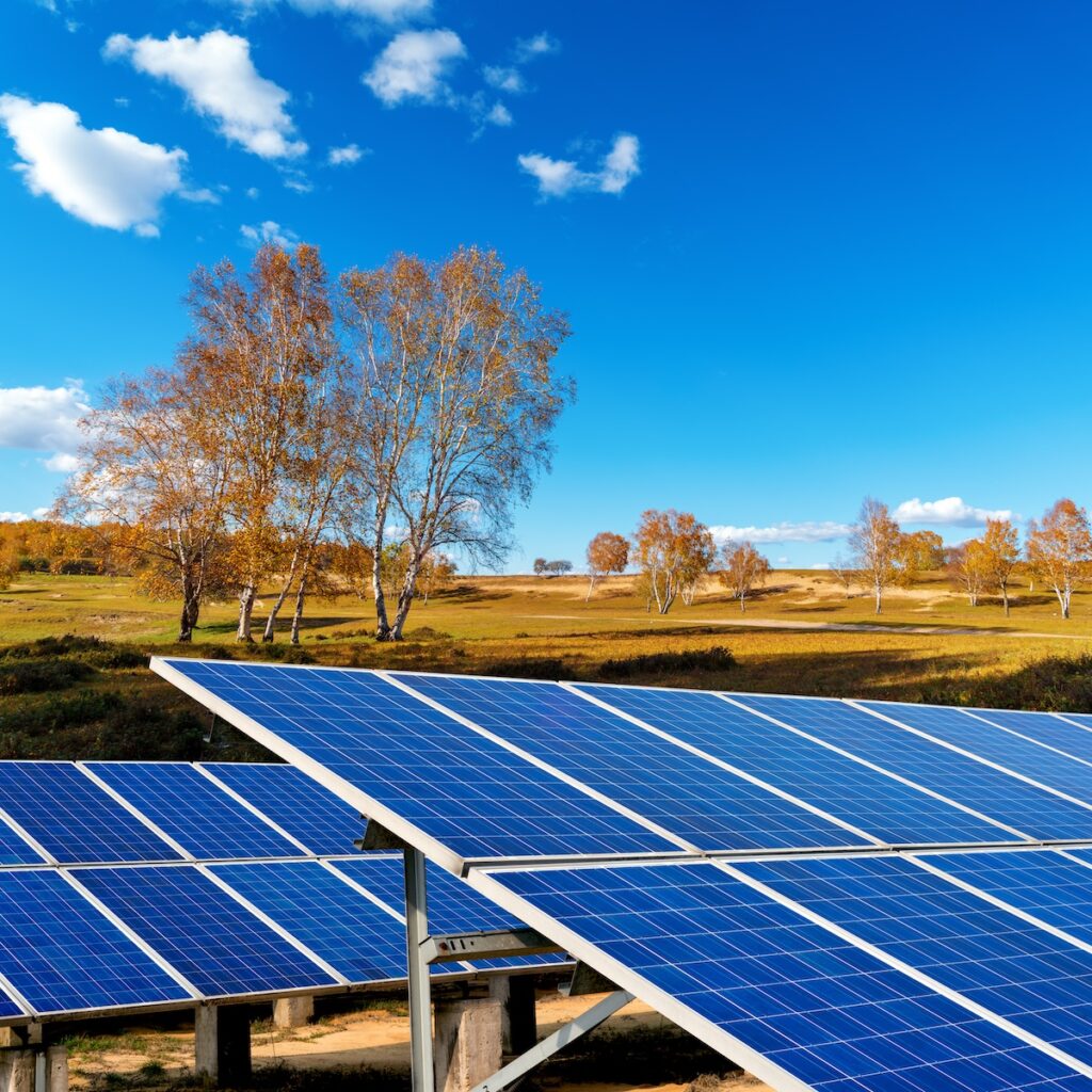 Ground mounted solar panels at a home