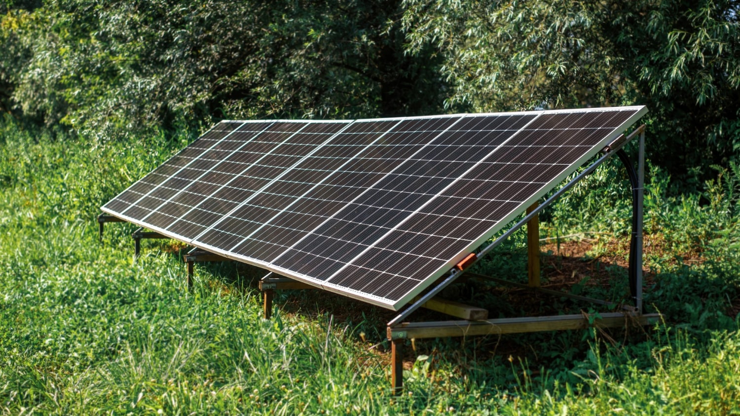 Ground mount solar panel in green area surrounded by trees