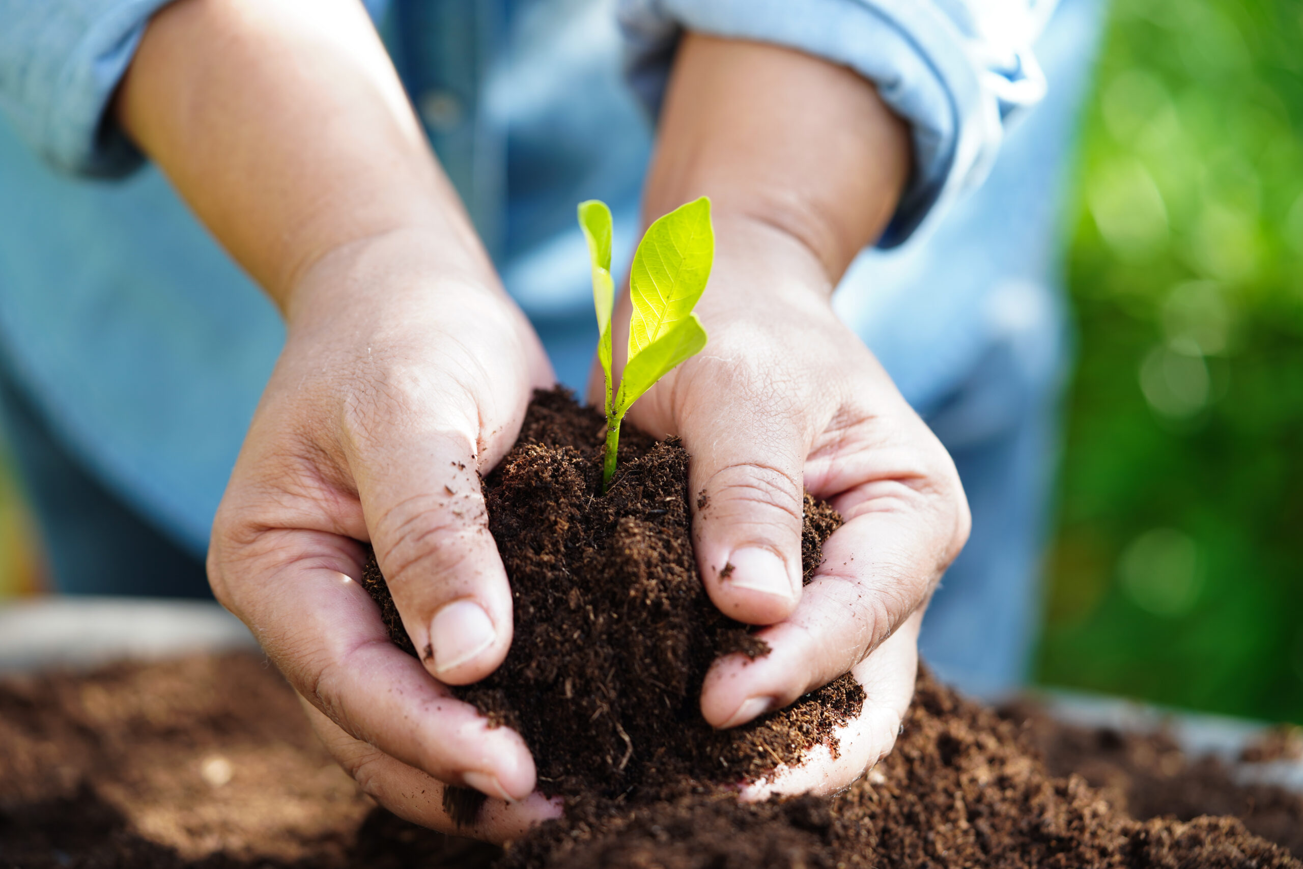 Take Small Steps to Build a Brighter Future